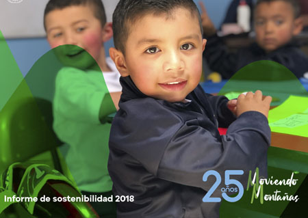 Informe 2020